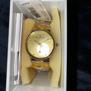Skagen Gold and Silver Watch